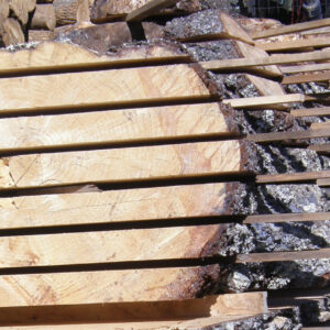 Ponderosa Wood Slabs - Pricing For Wood Slabs